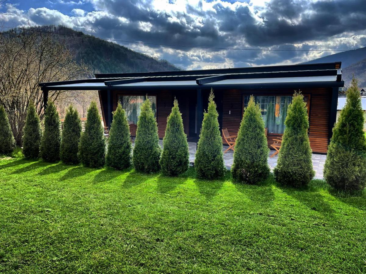 Alexandar Studio Apartman Mokra Gora Dış mekan fotoğraf