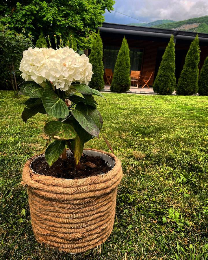 Alexandar Studio Apartman Mokra Gora Dış mekan fotoğraf