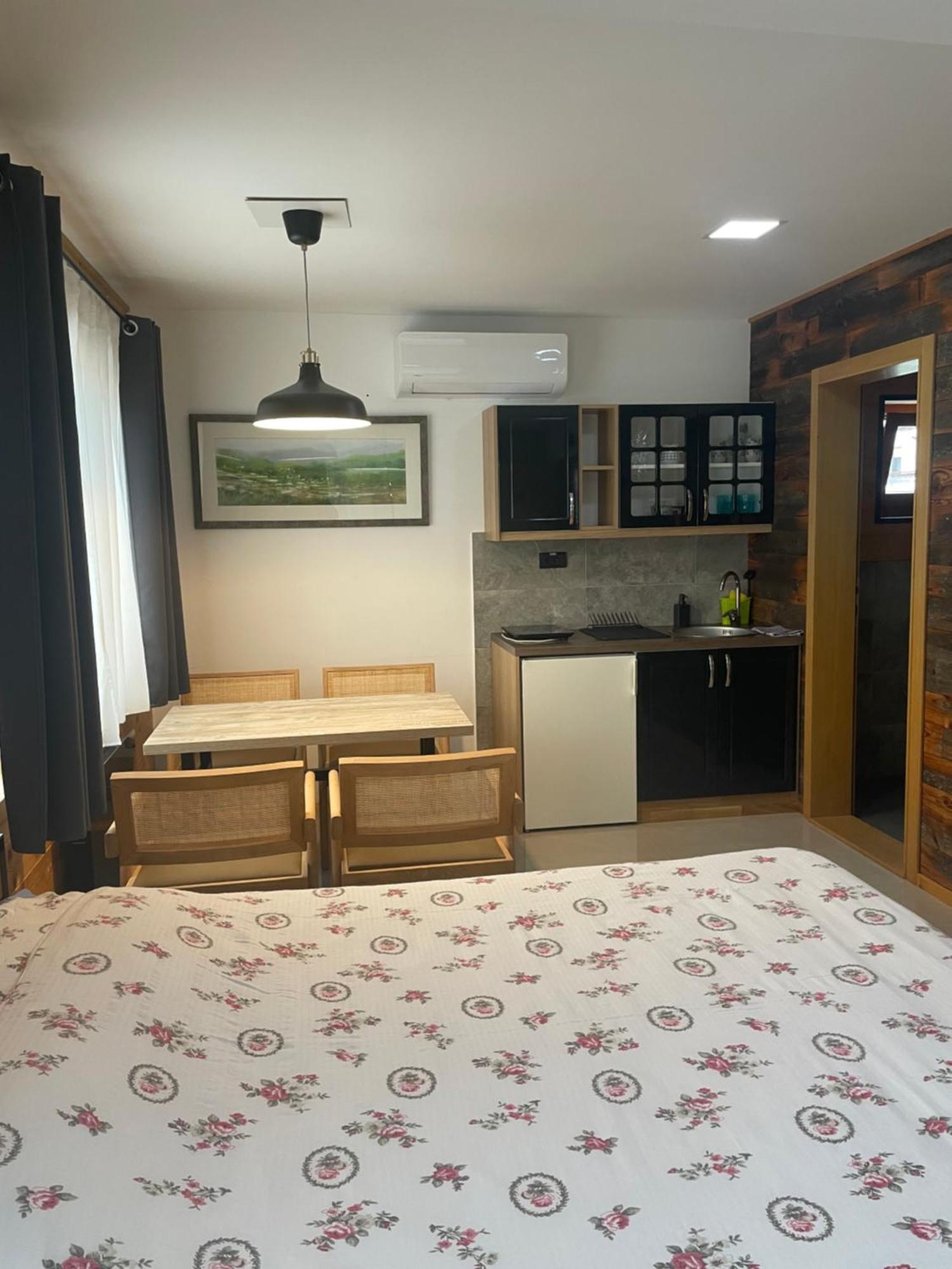 Alexandar Studio Apartman Mokra Gora Dış mekan fotoğraf
