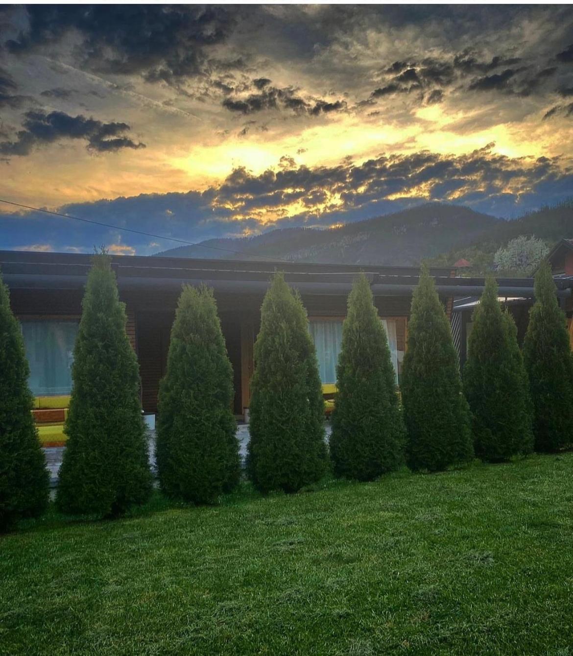 Alexandar Studio Apartman Mokra Gora Dış mekan fotoğraf