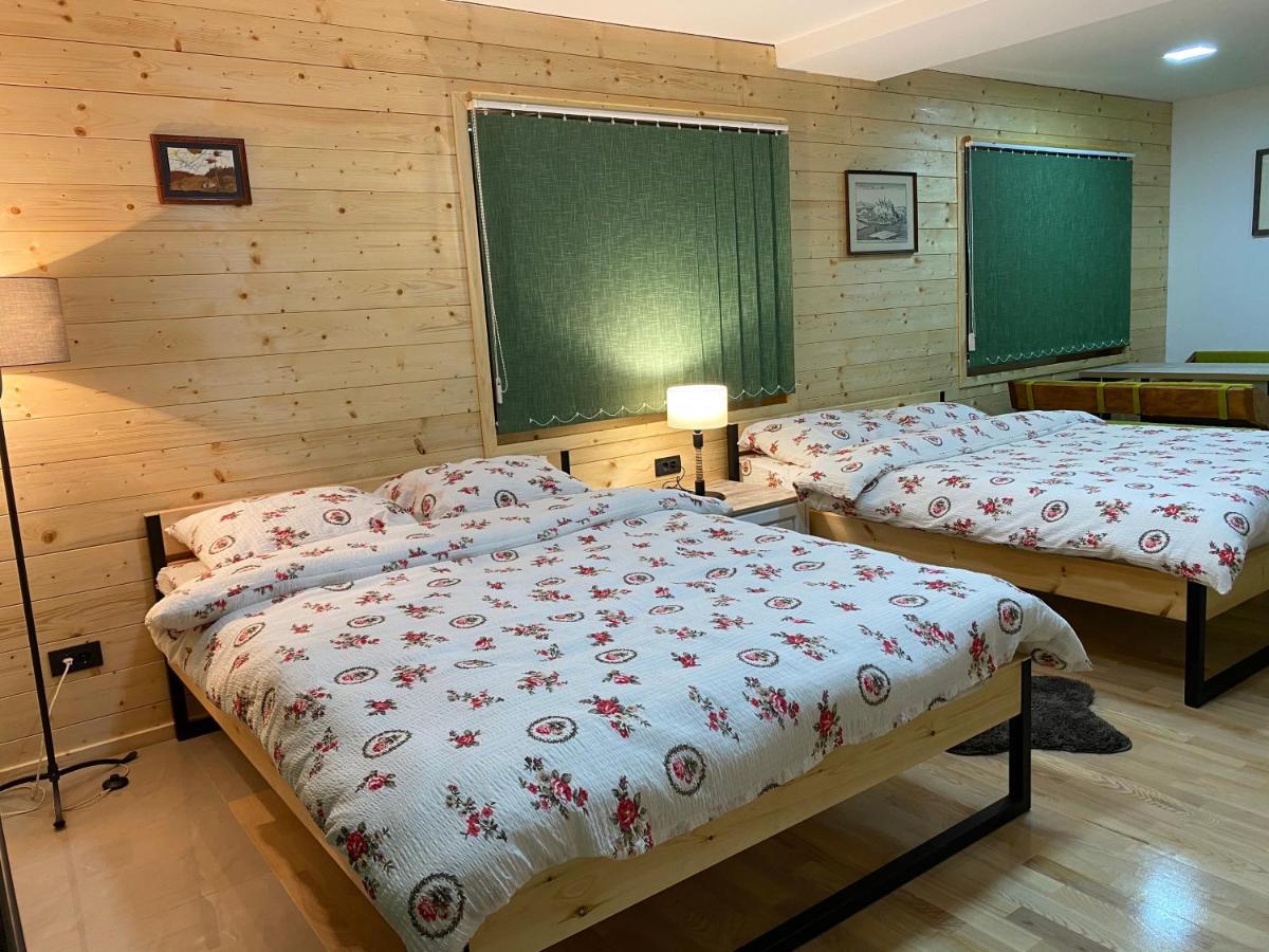 Alexandar Studio Apartman Mokra Gora Dış mekan fotoğraf
