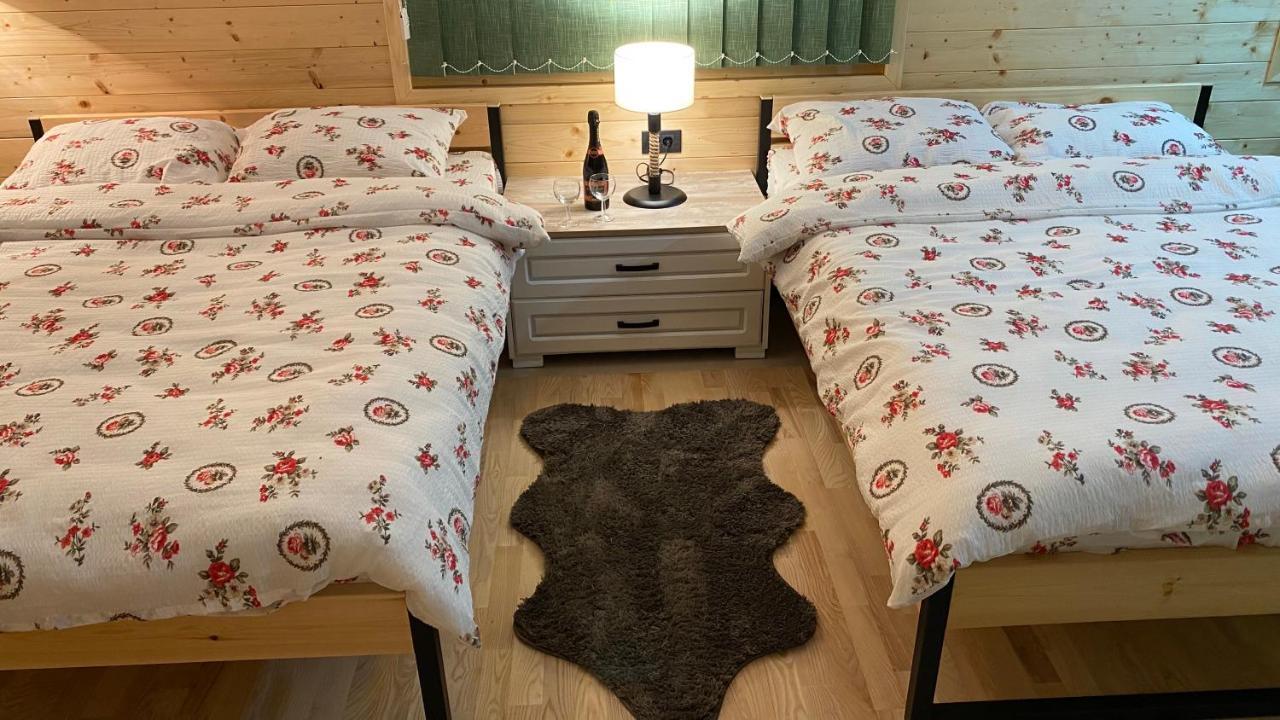 Alexandar Studio Apartman Mokra Gora Dış mekan fotoğraf